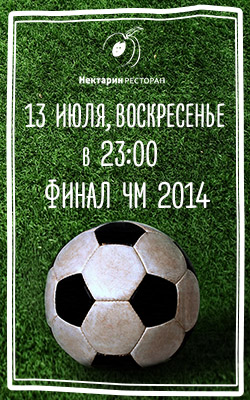 13 июля — финал Чемпионата Мира 2014
