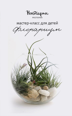 Детский мастер-класс. Флорариум